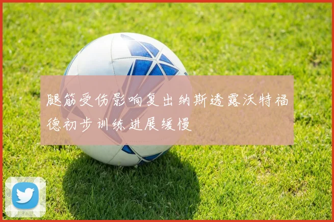 腿筋受伤影响复出纳斯透露沃特福德初步训练进展缓慢