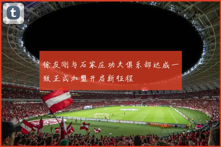 徐友刚与石家庄功夫俱乐部达成一致正式加盟开启新征程